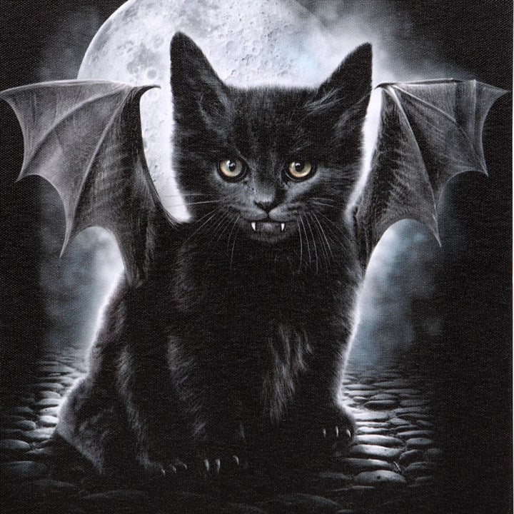 Bat Cat Canvas Plaque by Spiral Direct  19x25cm