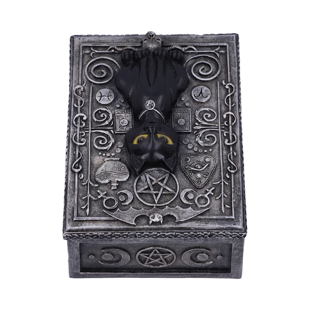 Familiar Spell Box 13.7cm