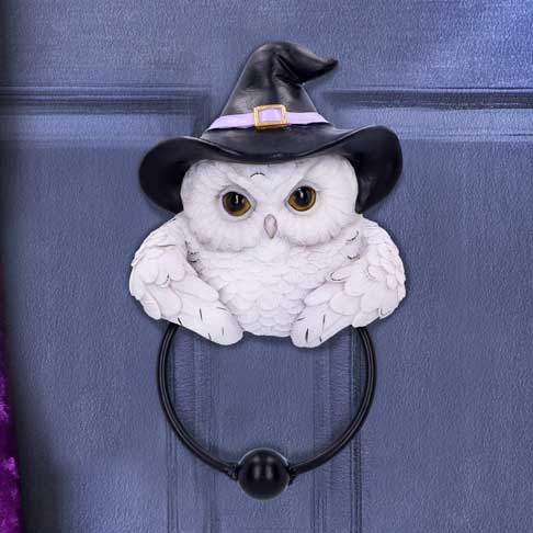 Snowy Magic Door Knocker 21cm