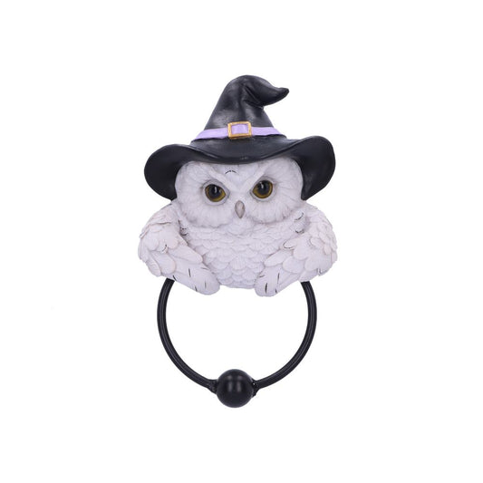 Snowy Magic Door Knocker 21cm